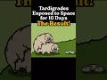Tardigrades Exposed to Space for 10 Days — The Result!