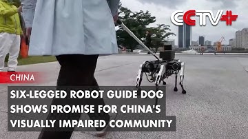 Six-Legged Robot Guide Dog Shows Promise for China