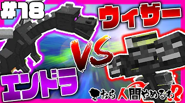 マインクラフトウィザーストームvsエンダードラゴン Mp3 マインクラフトウィザーストームvsエンダードラゴン Mp3