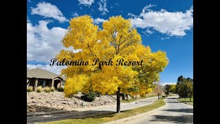 #Palominopark #highlandsranch #colorado Palomino Park Resort fall colors | Beautiful fall colors