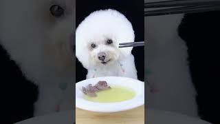 cute dog eating food #creative #art #talent #satisfying #amazing #shorts