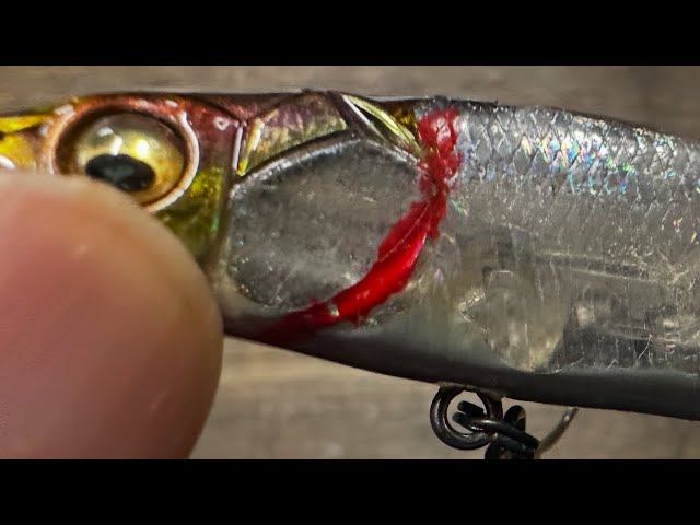does it matter if a fishing lure is scratched Scratch – The Hook Up Tackle Dark Matter 7