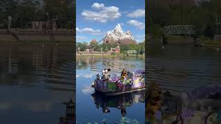 Disney’s Mickey Mouse siting in animal kingdom #disney #shorts #fyp #mickeymouse #pluto #travel
