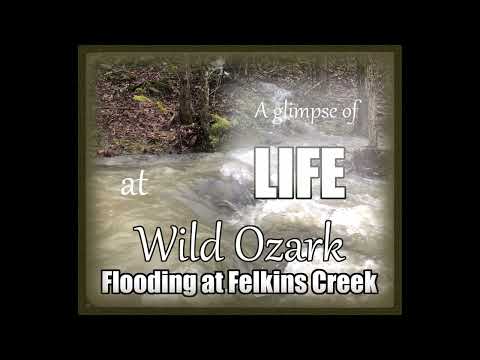 Felkins Creek Flood 32423