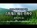 🌿432Hz 스트레스 해소 주파수🌿 심신 안정 / 부정적 감정 치유 / 3시간 힐링 음악 / 마음이 편안해지는 주파수 / 긴장 완화 / 피로회복 / 432hz 음악 / 새 소리