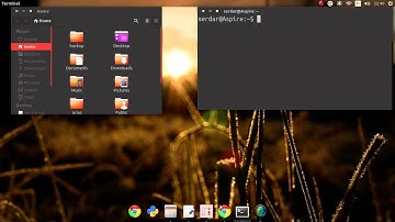 Ubuntu 14 04 : Disable Overlay Scroll Bar