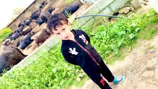 Angel Rohan Afridi