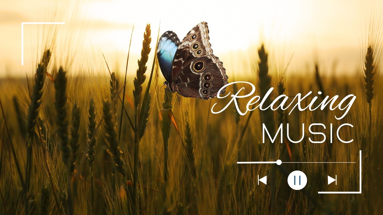 Relaxing Meditation Music 🌿 Stress Relief & Deep Sleep | Healing Music