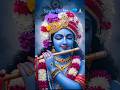 #shreekhatushyamdelhidham #shyam #shreekhatushyam #shreekhatushyam #khatuwalashyam #shyambaba #khatu