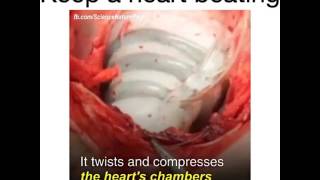 Robotic Heart | Robotic technology helps in keep beating the heat