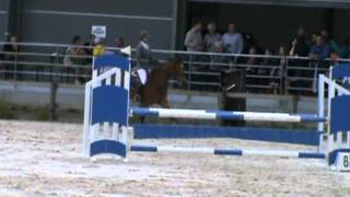 Udoka Om 4 Ans Libramont