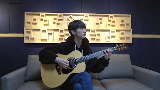 Video thumbnail of "(Don Mclean) Vincent (Starry Starry Night) - Sungha Jung"