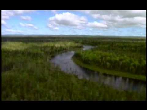 Human Beings Video