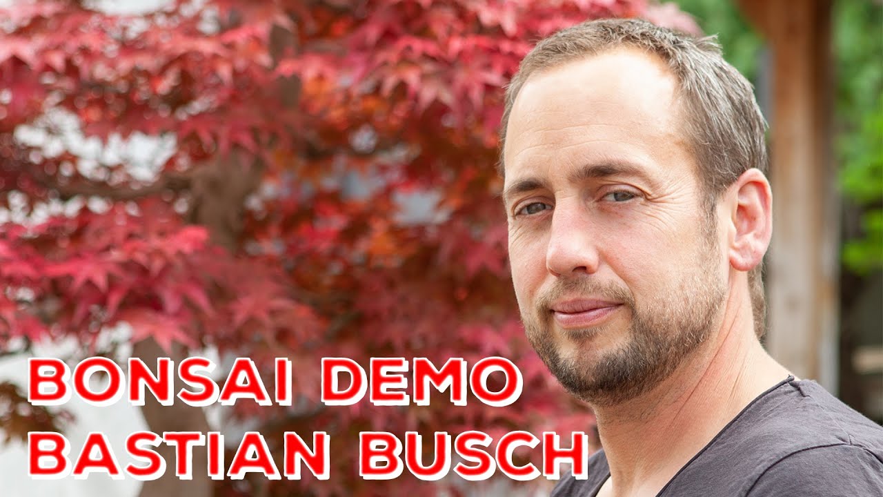 BonsaiKunstHamburg:  Demo Bastian Busch