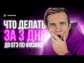 Что делать за 3 дня до ЕГЭ по физике? Разговорный стрим с Виталичем. Ответы на вопросы