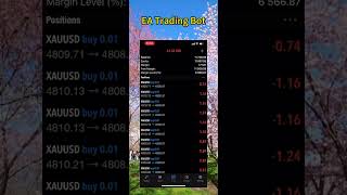 Small funds profit fast with AI trading assistant#goldtrader #forextrading #scalping #Bot trader