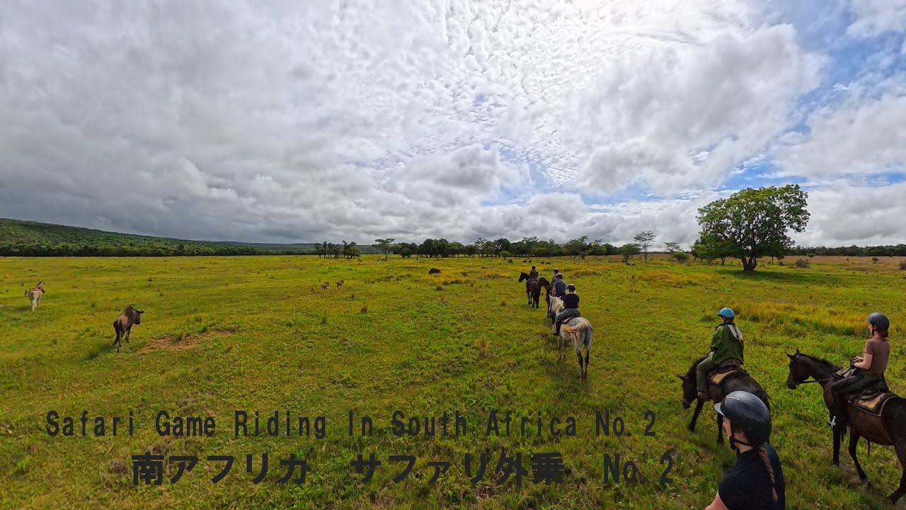 No 2　南アフリカ2日目　 2025年12月に南アフリカでサファリ外乗に行きました。その様子の一部をアップしてます。南アフリカでは主に草食系動物が生息しているエリアを４日間に渡り駆け抜けました。