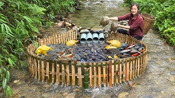 Using PVC pipes combined with bamboo creates a fish trap and unexpectedly catches rare turtles.