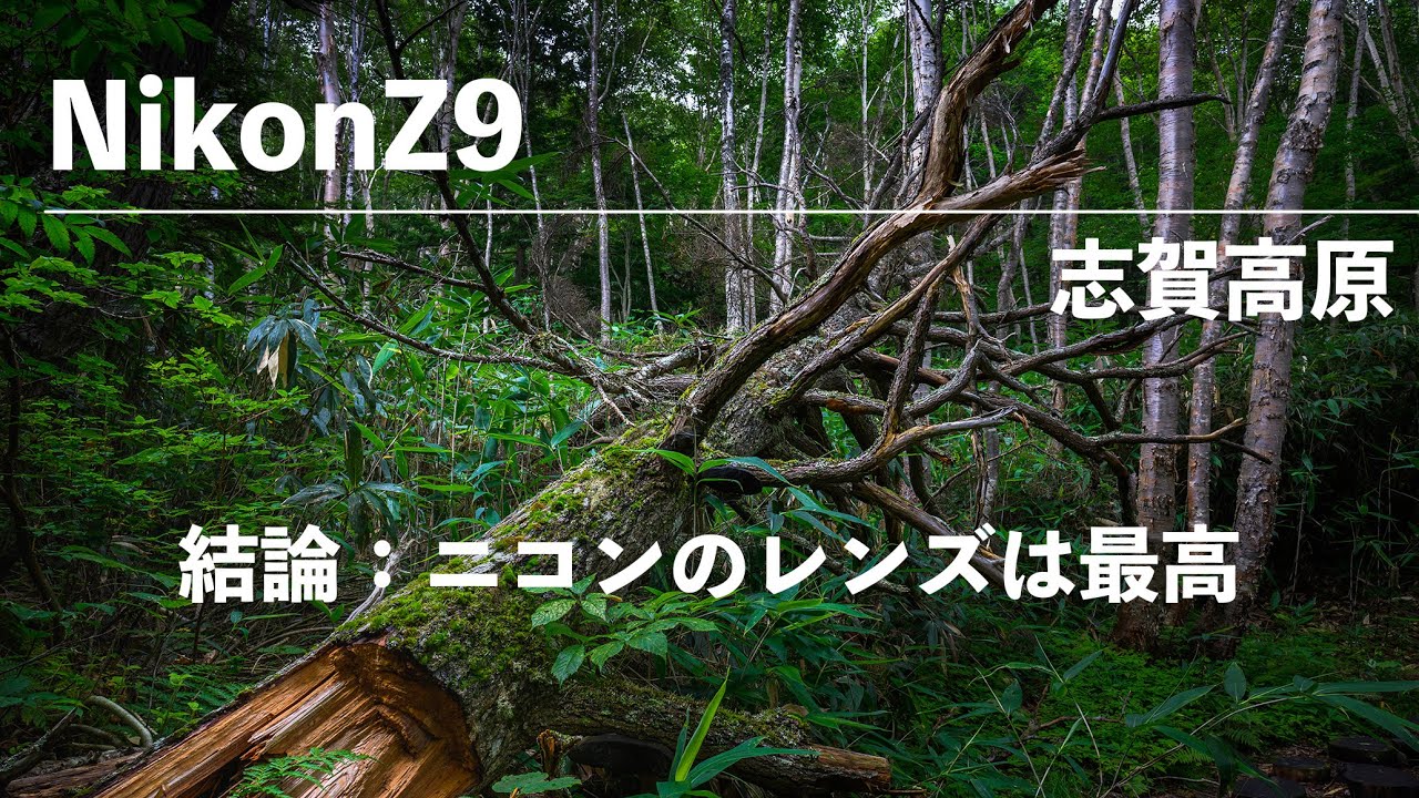 Nikon Z9] Nikon's landscape photos are also great. [Shiga Kogen