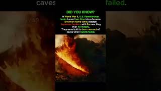 WWII's Most Terrifying Weapon Was a Tank on Fire #history #wwii #military