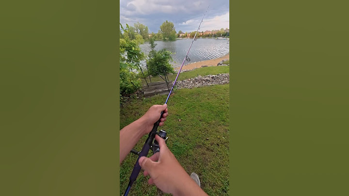 Crazy interaction while fishing