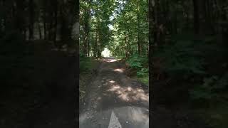 Rezerwat Przyrody Ochojec.