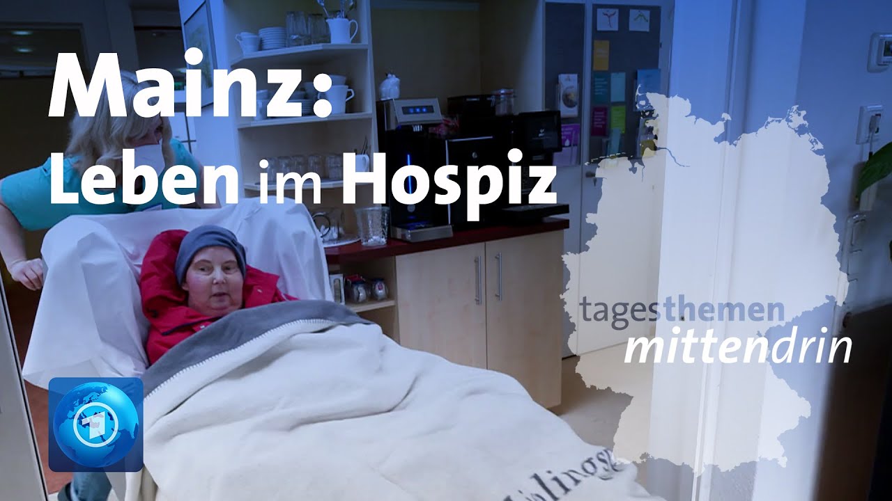 Therapiehund lenkt Sterbende im Hospiz vom Tod ab