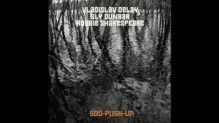 Robbie Shakespeare A Dubwise Vinyl Tribute