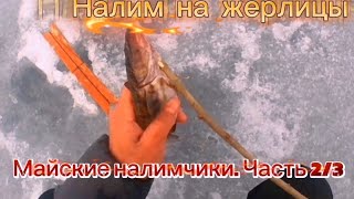 НАЛИМ. FISHING BURBOT. НА ЖЕРЛИЦЫ В МАЕ. ЧАСТЬ 2/3