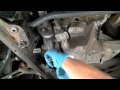 Changing Fluid in BMW 4WD Front Differential - Under Car Fluid Changes