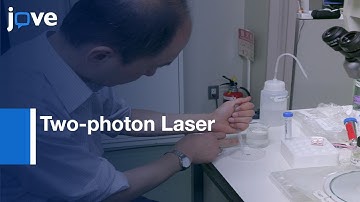 Neuronal Population Ablation by Two-photon Laser | Protocol Preview