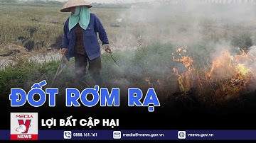 Đốt rơm rạ - lợi bất cập hại - Chuyện hôm nay - VNEWS