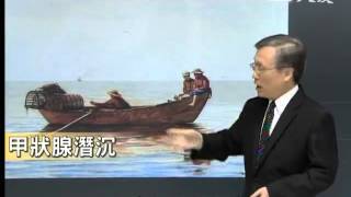 20131126《大愛醫生館》甲狀腺潛沉