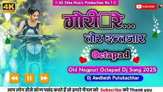 Gori Re Old Nagpuri Octapad Dj Song 2025 Old Nagpuri Octapad Song 2025 Dj Awdhesh
