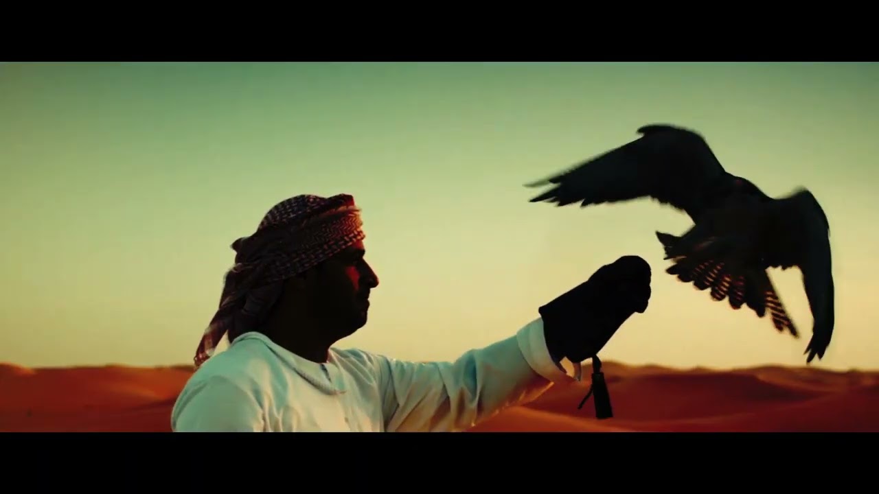 AREGGY - EMIRATI VIBE (Video)