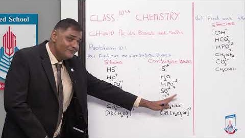 Class 10 - Chemistry - Chapter 10 - Lecture 3 Problem  - Allied School