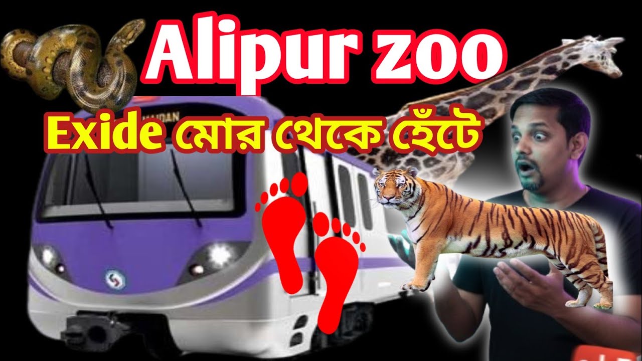 রবীন্দ্র সদন মেট্রো থেকে হেঁটে চিড়িয়াখানা। Howrah to Alipur chiriakhana . Alipore zoo bus number 