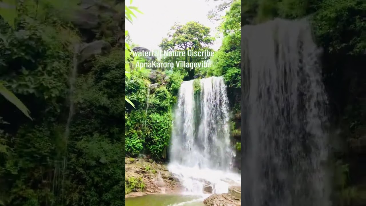 Apen Karore ❤️😍🌧️