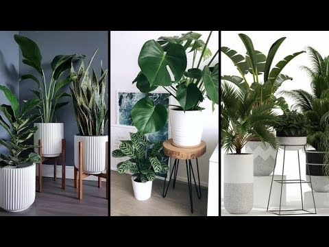 40 Modern Indoor Plants Decor Ideas / Interior Design / Best Houseplants Design Ideas