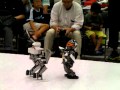 Robot Pro-Wrestling Dekinnoka!13 Unko King vs Saaga