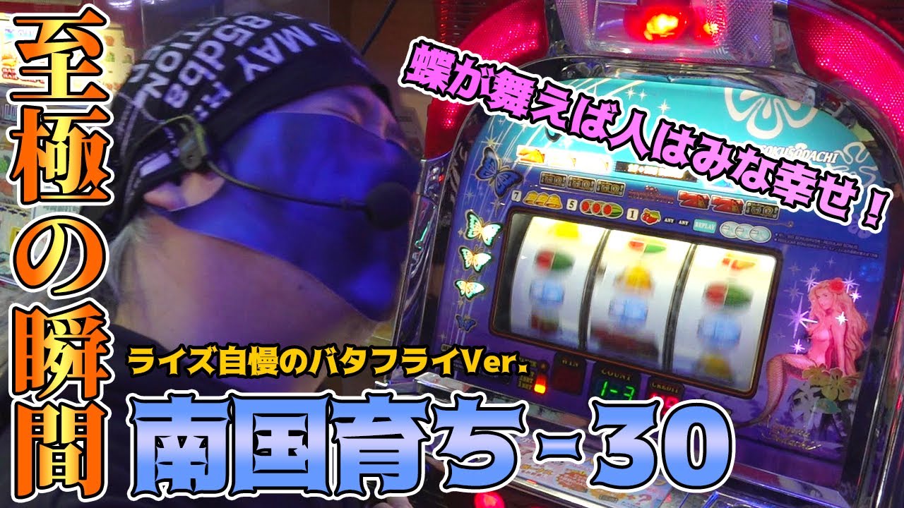 南国育ち30 バタフライver ロムのみ　4号機 4号機 南国育ち30 裏ロム バタフライver 4号機 南国育ち30 裏
