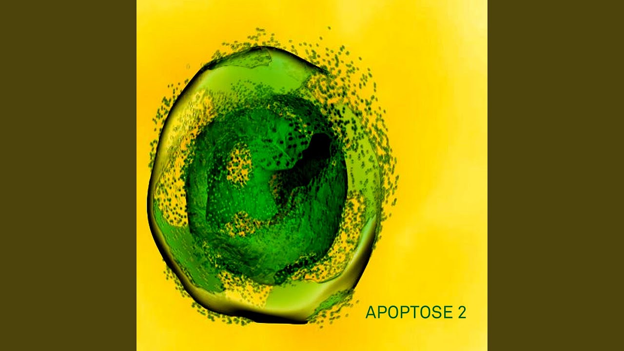 Watch Apoptose 2 on YouTube Watch Apoptose 2 on YouTube