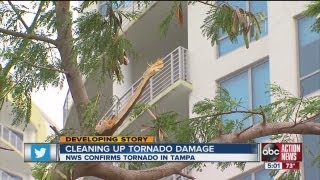 Waterspout comes ashore on Harbour Island in Tampa, become small tornado, minor damage reported