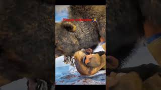 Bear Fight 🐻 ⚔️ #rdr2 #reddeadredemption2 #gaming #shorts