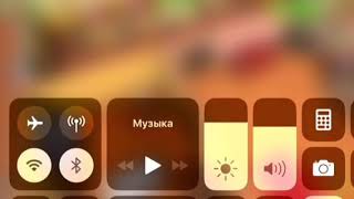 Рассказываю про игру// Pet World//Кто обожает животных? screenshot 5
