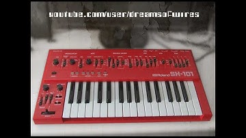 Roland SH-101 & Doepfer Dark Energy 1 - DreamsOfWires