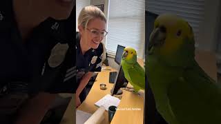 "When a Woman Police Officer Proposes to a Parrot... and Gets 'Proposal Declined
