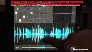 How to download zip files to your iPad using AudioShare app screenshot 3