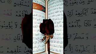 Cennetteki̇ 3 Muhteşem Çi̇çeği̇n İsmi̇o Ki̇ Yarattiği Her Şeyi̇ Güzel Yaratti.secde7