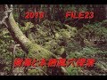 2018 File23　樹海と本栖風穴探索